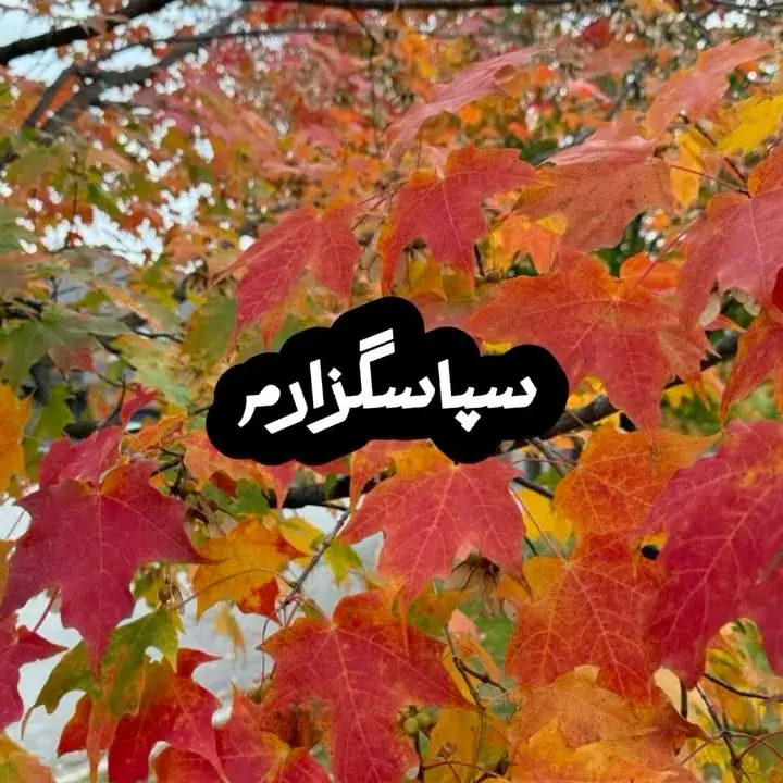 Iranian Church of Richmond Hil کلیسای ایرانیان ریچموند هیل، عکس 5 از اینستاگرام