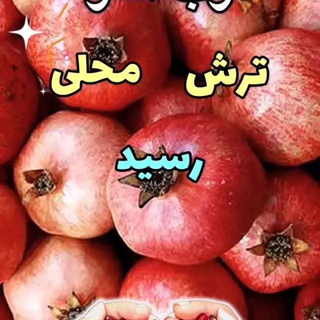 جزیره مارکت، عکس 4 از اینستاگرام