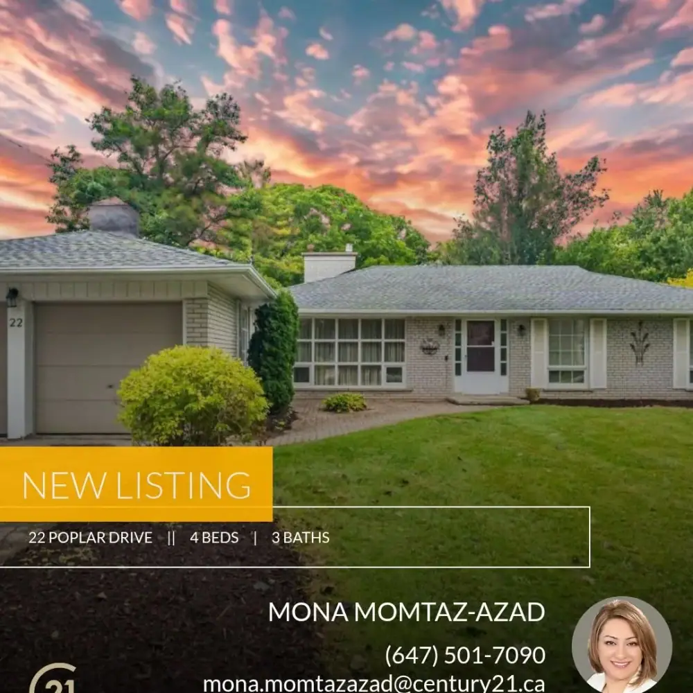 Mona Momtaz Real Estate Agent Residential, Commercial , Land, Persian، عکس 2 از اینستاگرام