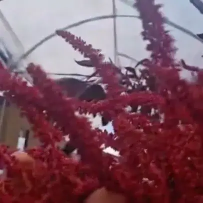 Fair Trade Floral Inc، عکس 3 از اینستاگرام