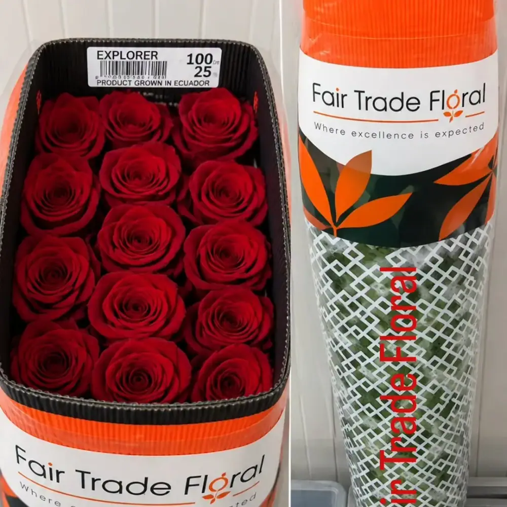 Fair Trade Floral Inc، عکس 4 از اینستاگرام