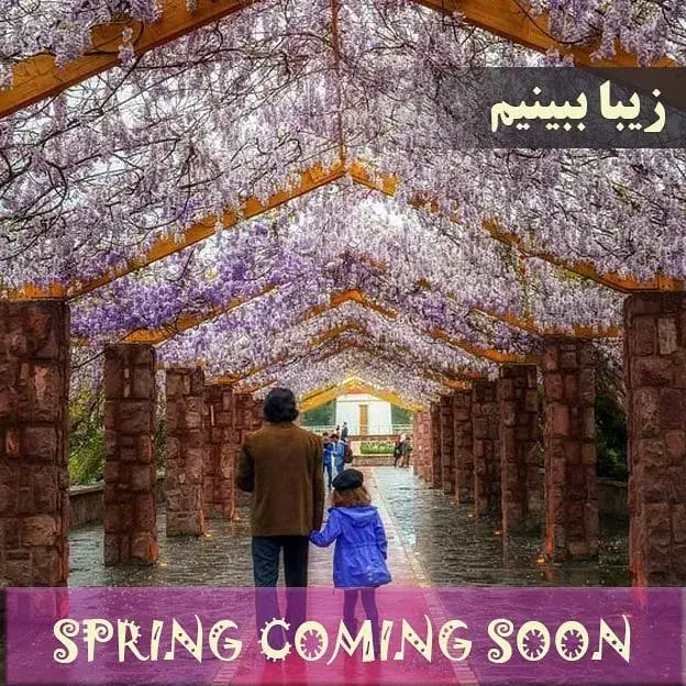 فروشگاه اینترنتی ویتا مارکت، عکس 4 از اینستاگرام