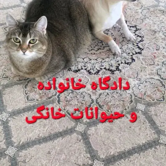 بیتا جهانگیر، عکس 5 از اینستاگرام