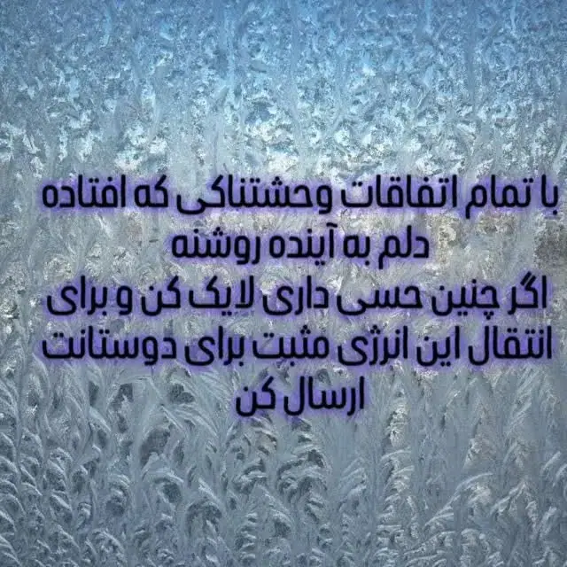 سعید ذوالفقاری، عکس 2 از اینستاگرام