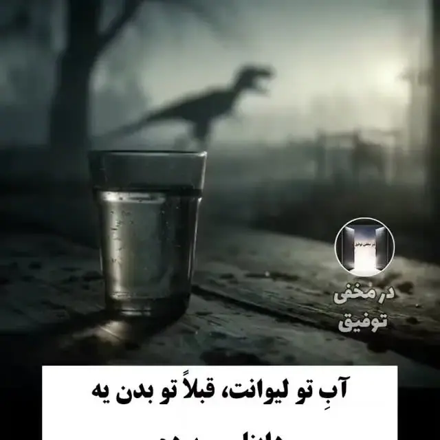 هدیه میرصادقی، عکس 4 از اینستاگرام