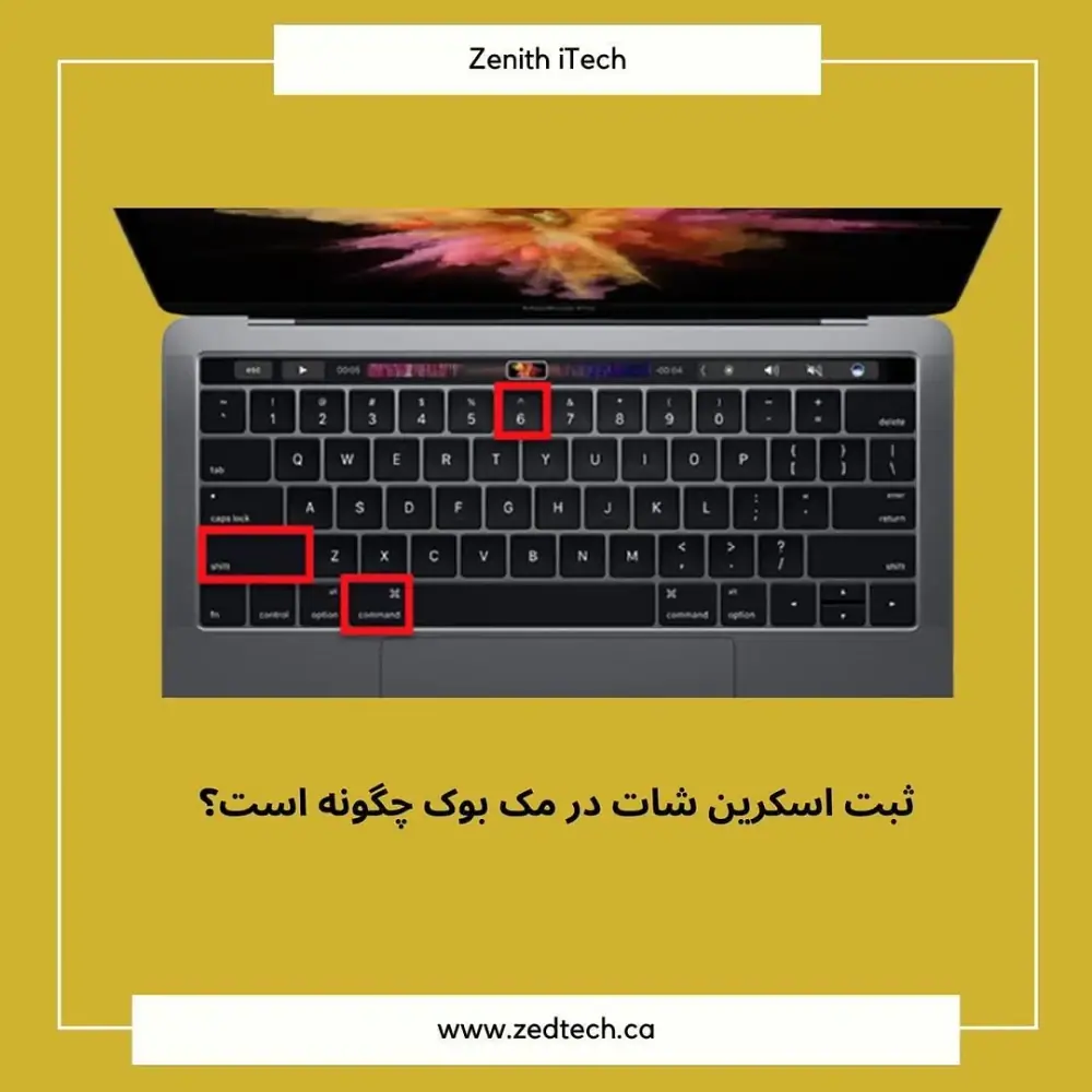 شرکت کامپیوتر ذی نِت، عکس 5 از اینستاگرام