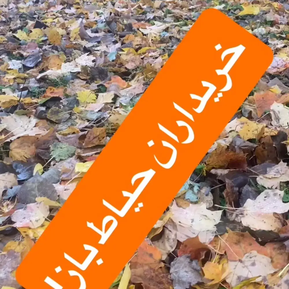 امیر اکبری، عکس 3 از اینستاگرام
