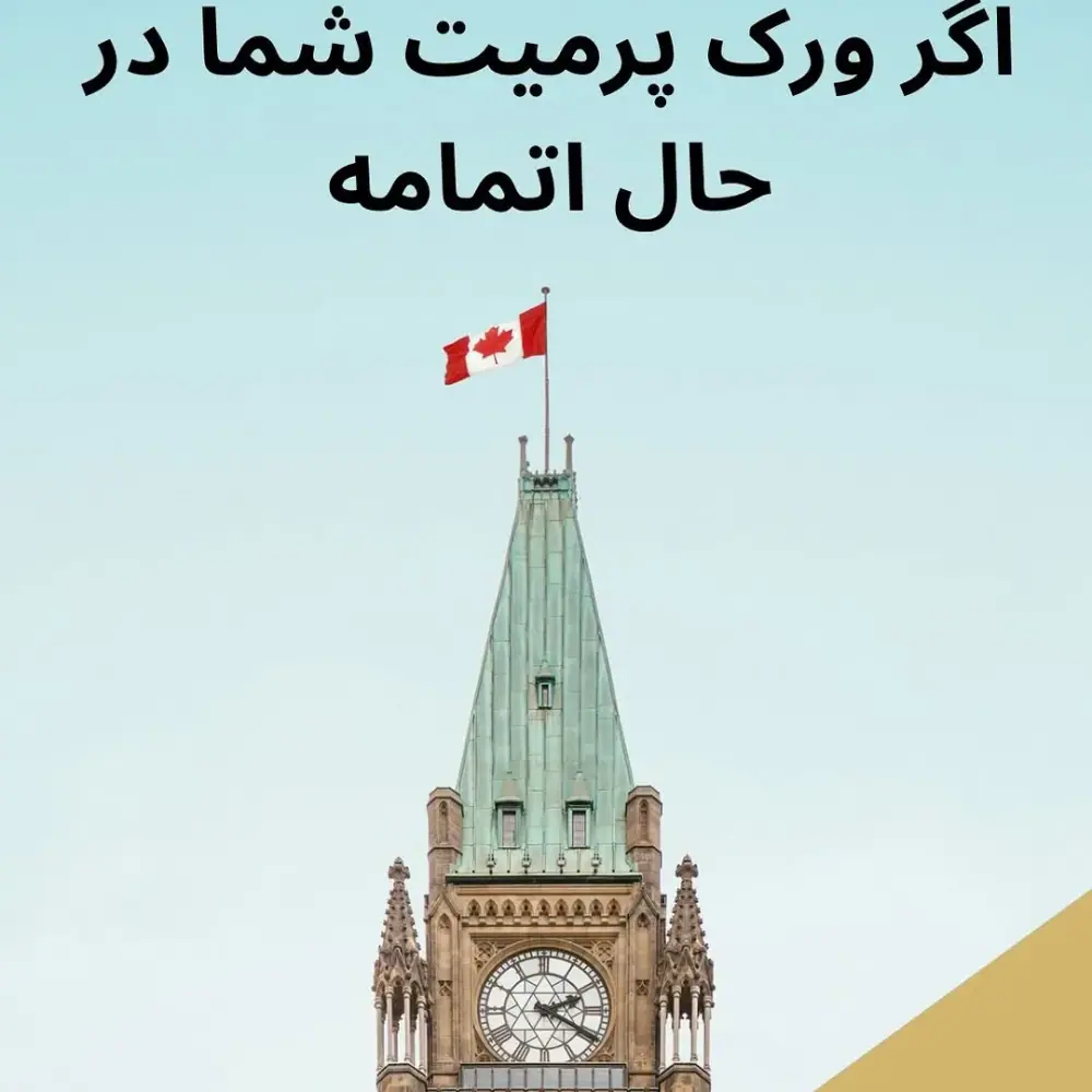 شرکت مهاجرتی هلیوس، عکس 5 از اینستاگرام