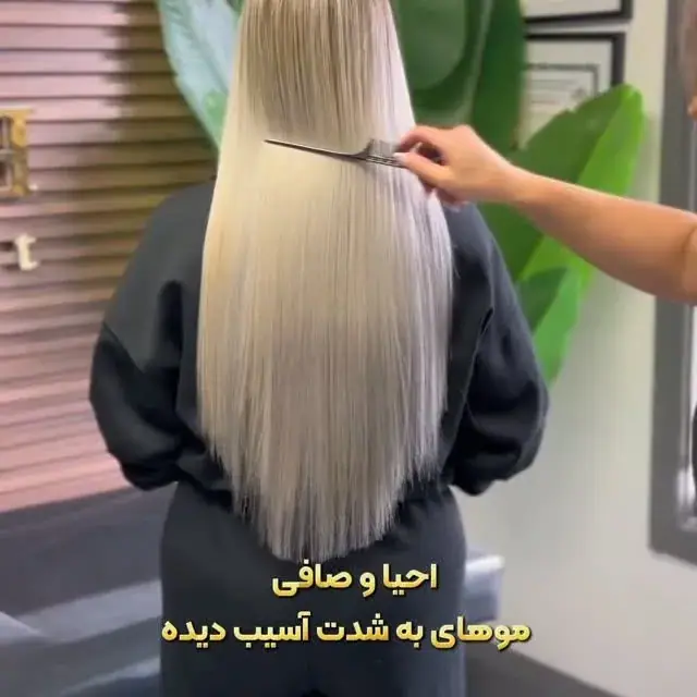 Fereshteh، عکس 4 از اینستاگرام