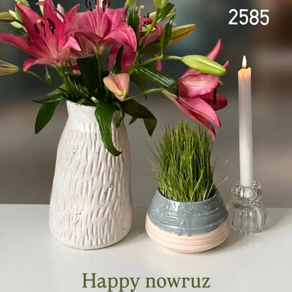 نقش مهر، عکس 4 از اینستاگرام
