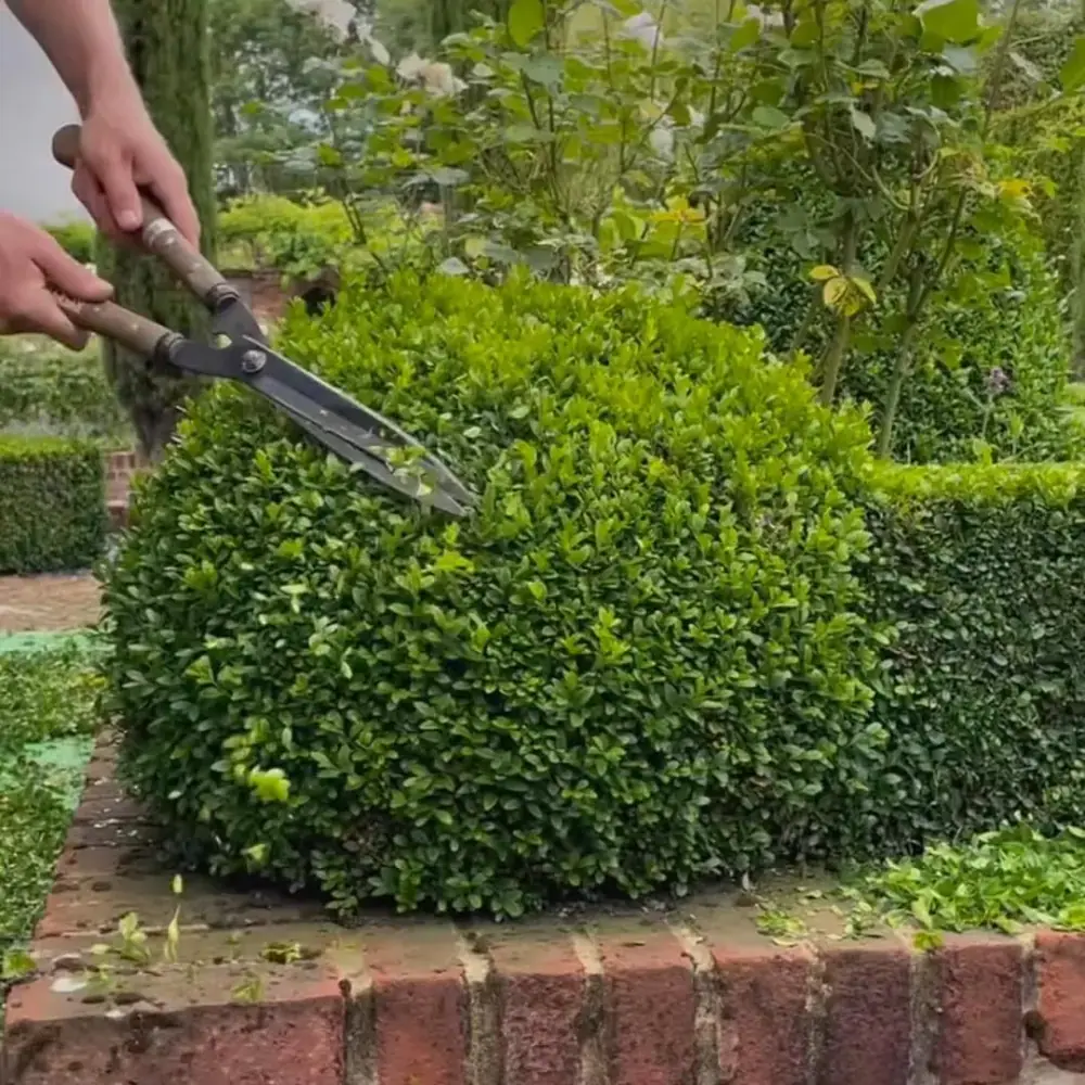 Greenica، عکس 3 از اینستاگرام