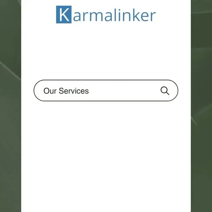 خدمات وب سایت اپلیکیشن و SEO کارمالینکر، عکس 4 از اینستاگرام