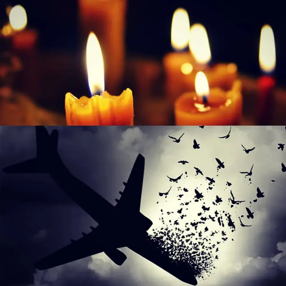 گروه حقوقی صدرو، عکس 2 از اینستاگرام