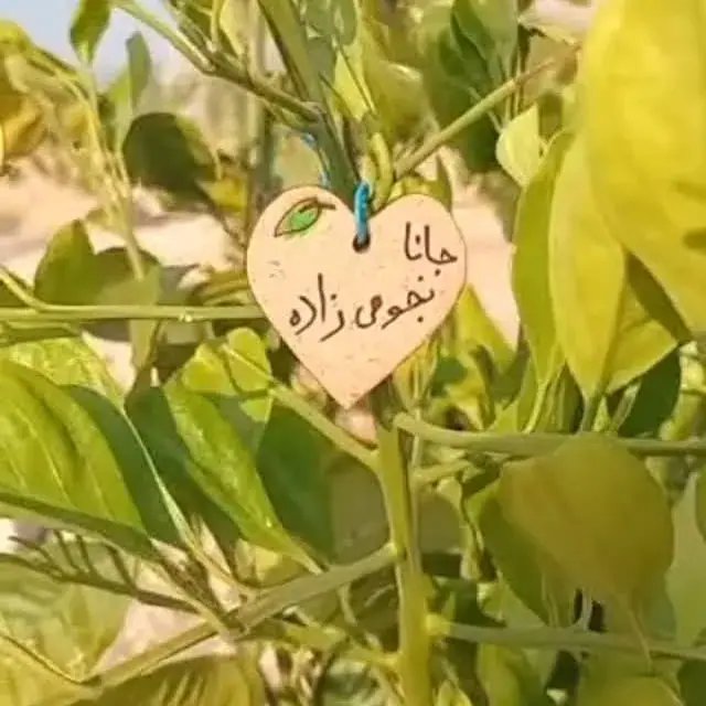 نویسنده داستان کوتاه و فیامنامه، عکس 5 از اینستاگرام