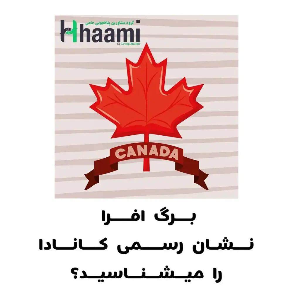 گروه مشاورین پناهجویی حامی، عکس 4 از اینستاگرام