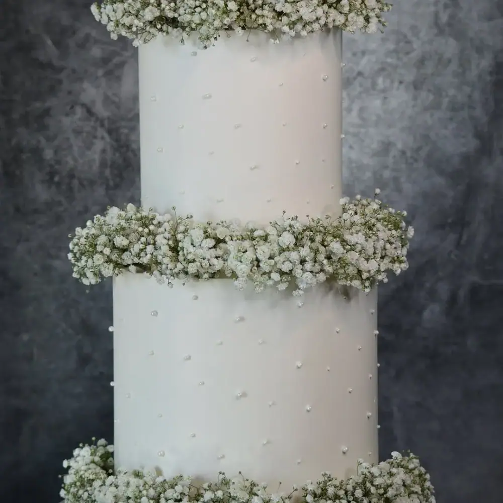 Negara Cake، عکس 4 از اینستاگرام