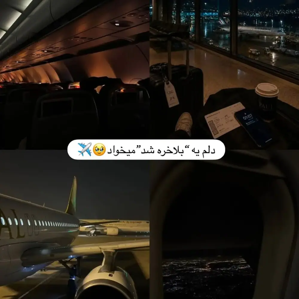 خدمات مهاجرت و سرمایه‌گذاری پارادایس، عکس 5 از اینستاگرام