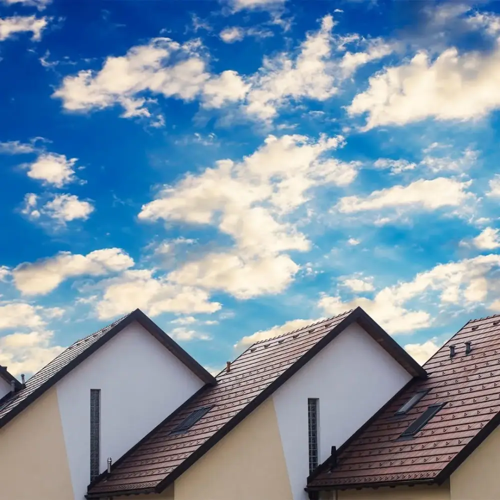 آدام سیف، عکس 4 از اینستاگرام