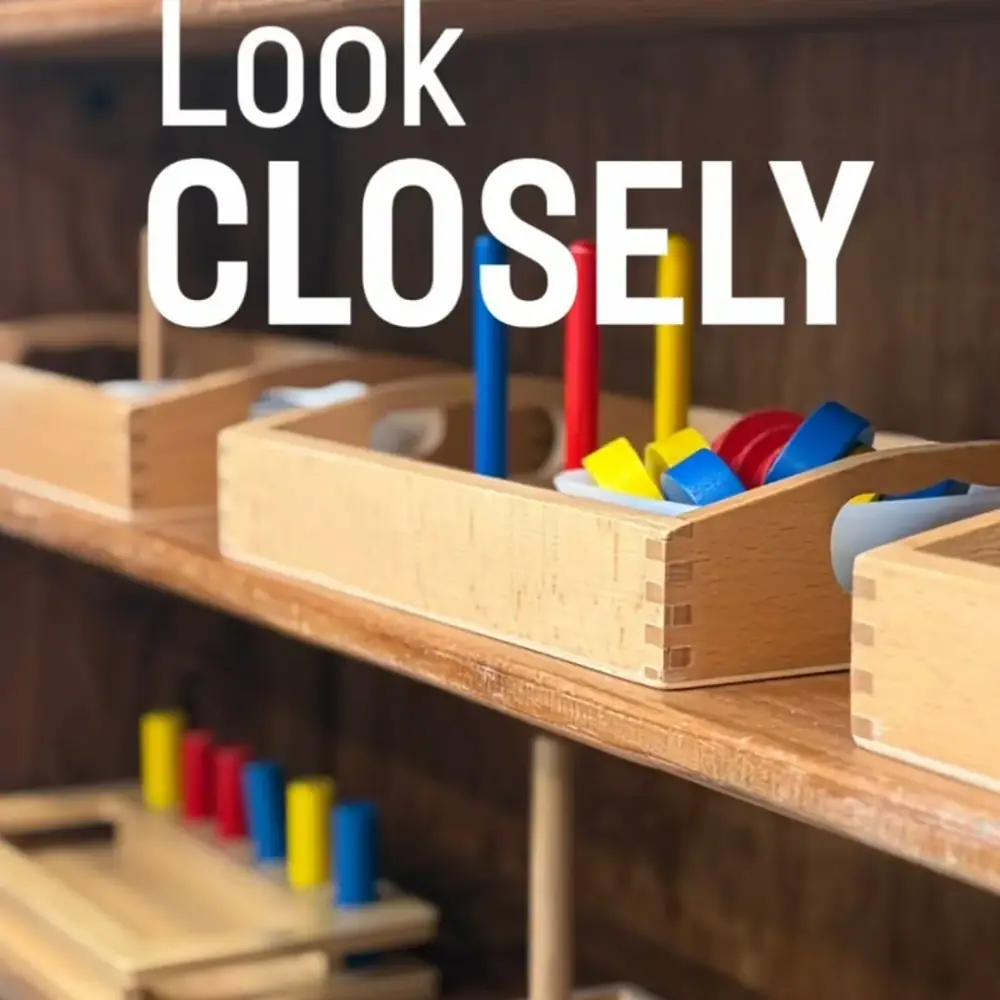 York Montessori School، عکس 5 از اینستاگرام