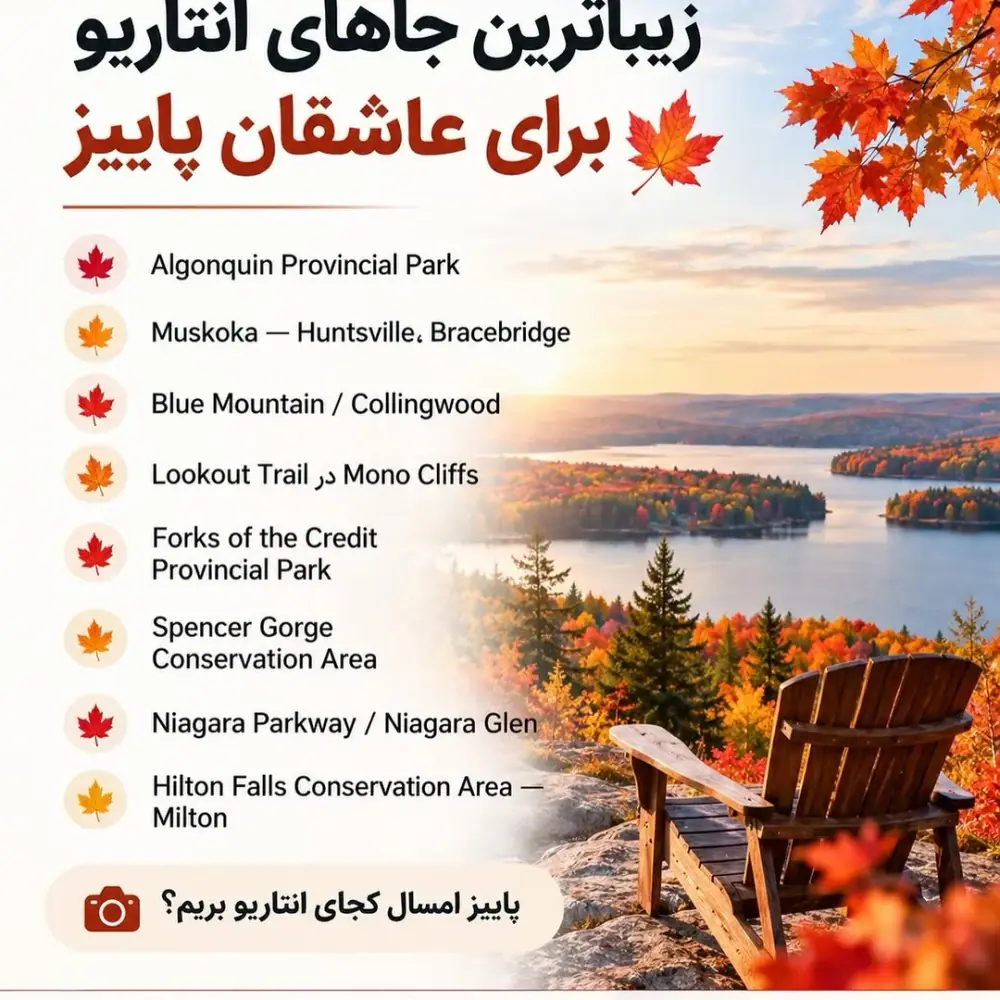صدف هالیدیز، عکس 4 از اینستاگرام